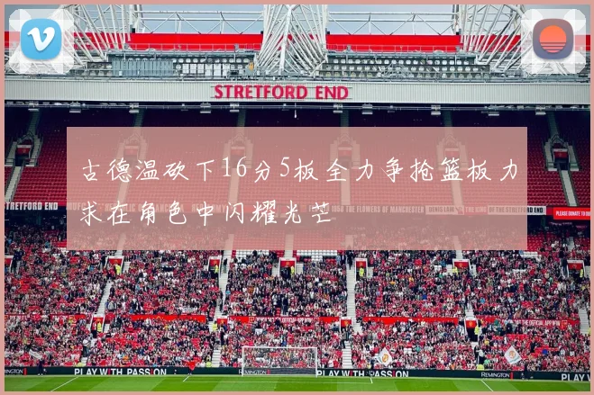 古德温砍下16分5板全力争抢篮板力求在角色中闪耀光芒